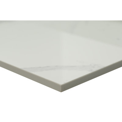 MSI 61 in. W x 22 in. D Bathroom Vanity Top with Single Sink & Reviews ...